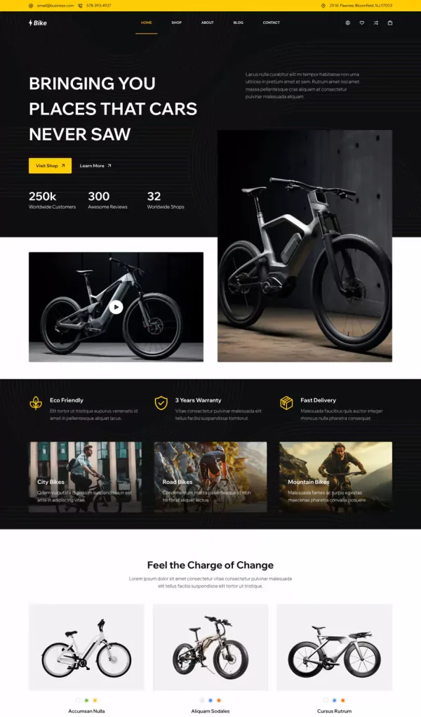 e-bike