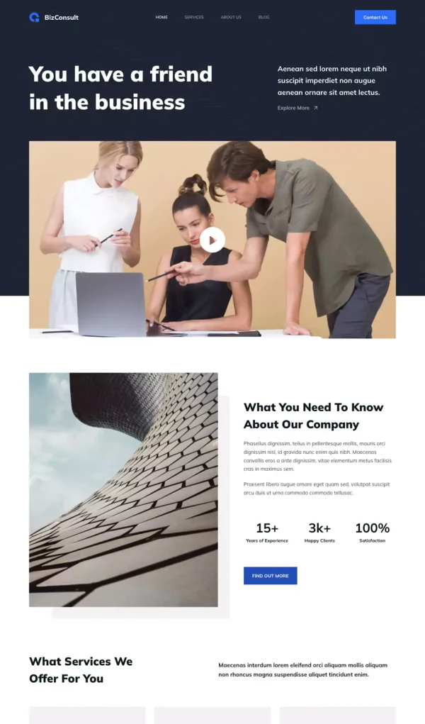 bizconsult