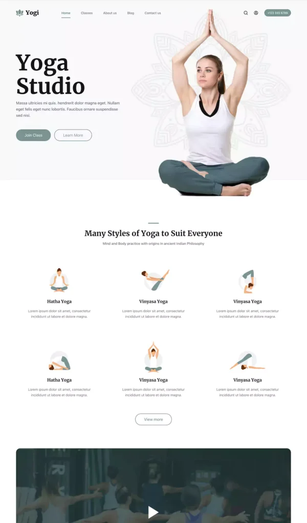 yogi