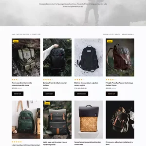 modern-shop